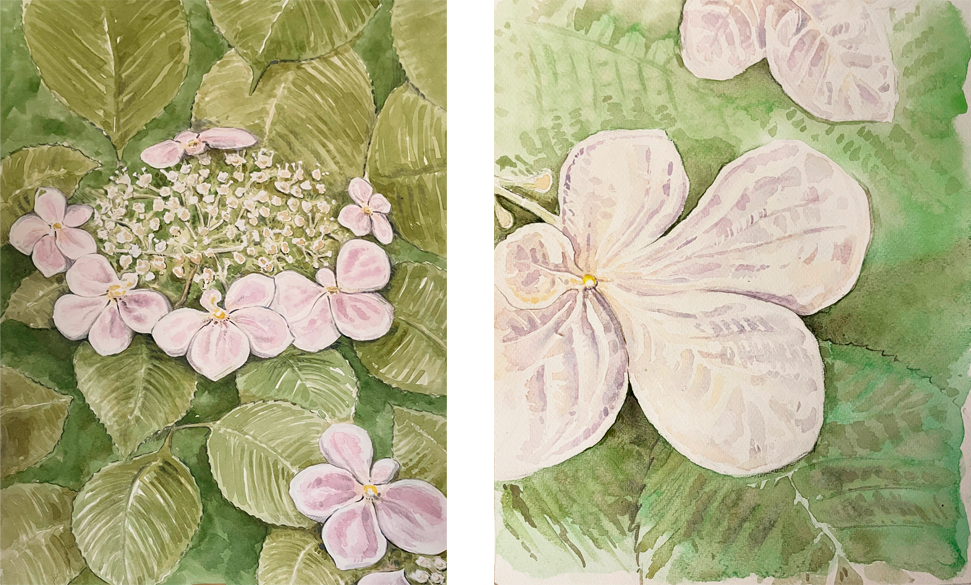 Aquarelles Beaux-arts